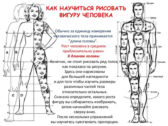 Стрижка декоративного кустарника Стрижка декоративного кустарника